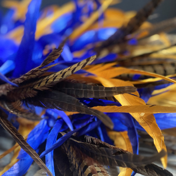Plumes